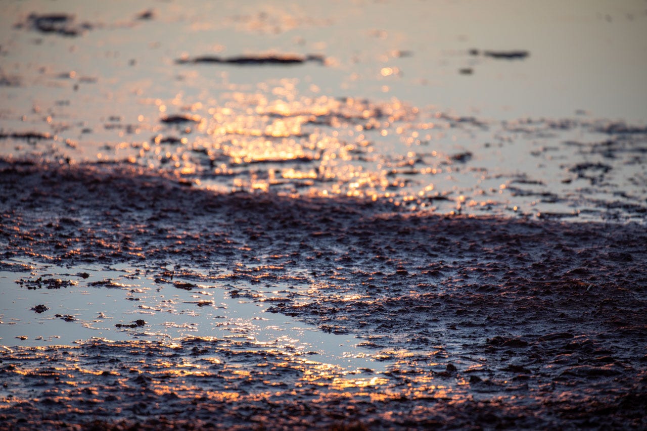 A highly texture close-up shot of sands in a salt panne at low tide, at sunset. Small puddles reflect back blue; mounds of sand appear dark, with orange highlights where the sun hits the wet ridges.