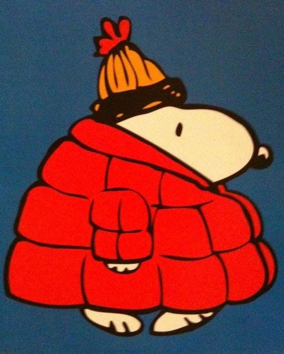 Snoopy in a coat