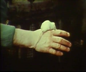 An arm is stretched out with a well-groomed white mouse resting between the thumb and forefinger.