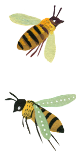 miriam-bos-copyright_Bee-Blog-flowers-bees3.png