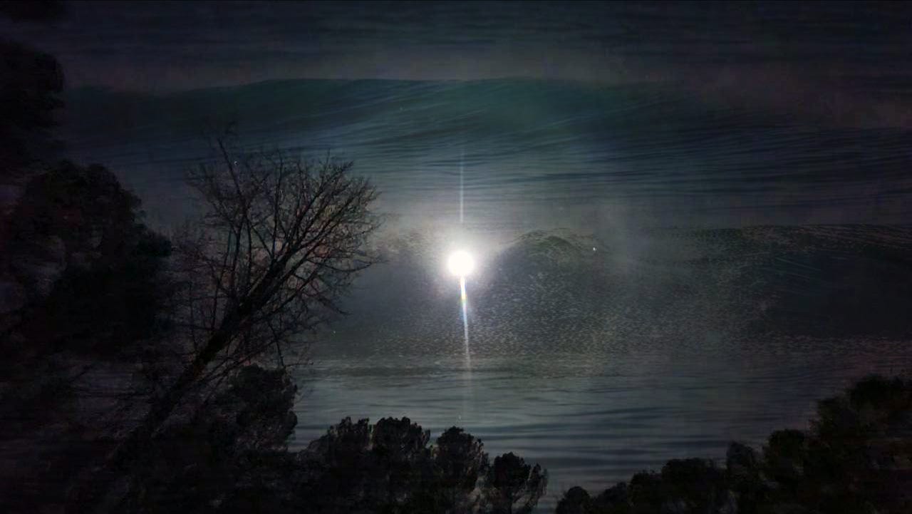 A dreamy nightscape with silhoutted trees against a seascape sky with a bright, ringed moon.