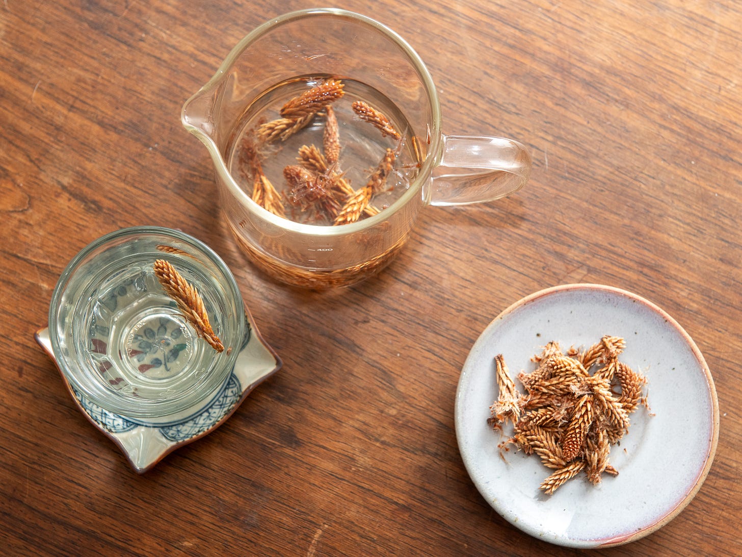 ID: Dried and brewed pine buds tea