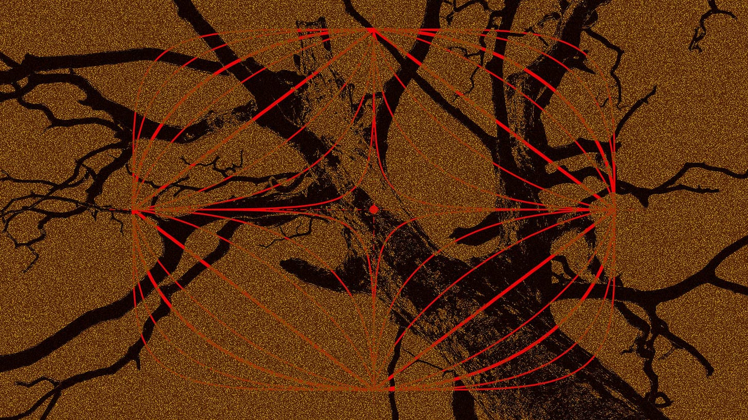 A montage of a dead tree and a 