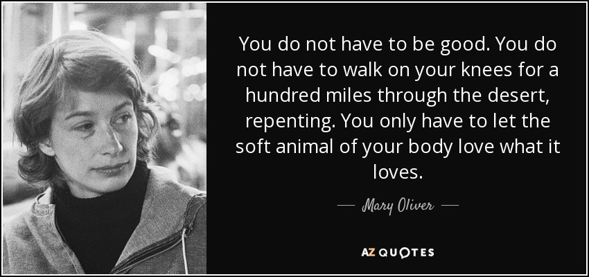 Mary Oliver quote: You do not have to be good. You do not...