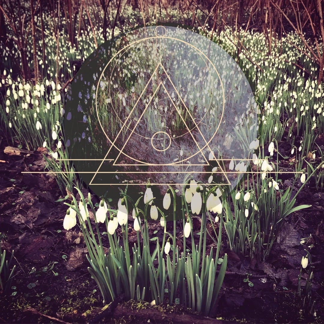 Digital collage of a field of snowdrops in a wood with a dark moon over all and symmetrical geometric shapes over the dark moon