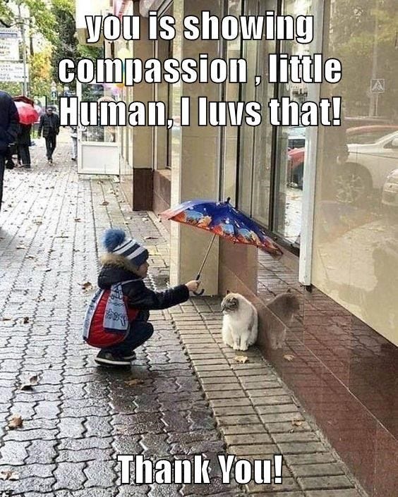 Compassion