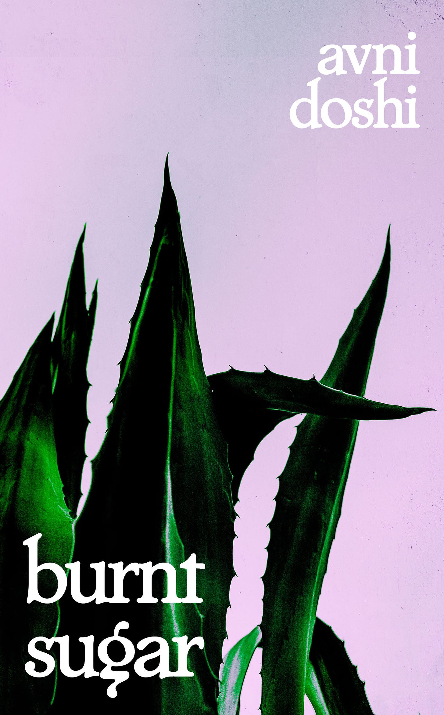 Burnt Sugar by Avni Doshi | Goodreads