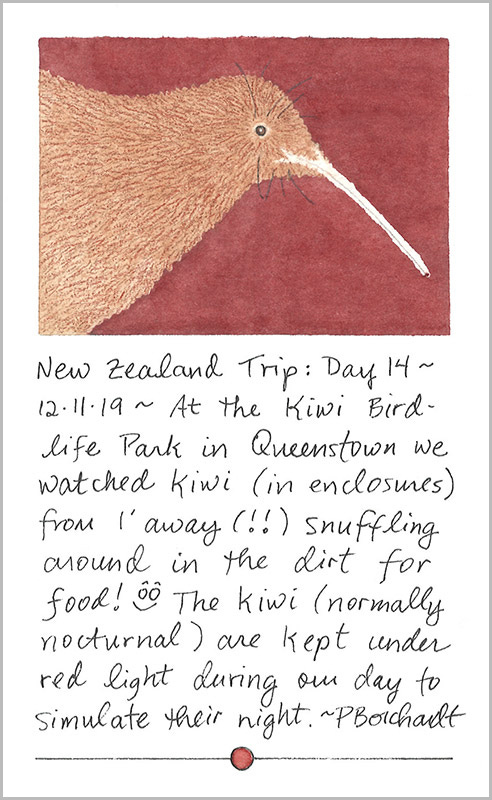New Zealand Visual Trip Journal Day 14 ~ Kiwi (pen, colored pencil, graphite & watercolor)