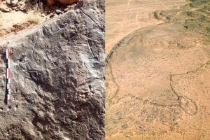 The dimensions of desert dragons only become apparent from the air: at Jebel az-Zilliyat in Saudi Arabia, the true-to-scale engraving depicts nearby desert dragons.