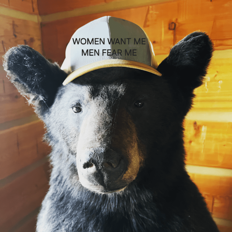 The Best Bear vs. Man Memes for Women Who Know Who They Would Rather Be  Hiking in the Woods With - Memebase - Funny Memes
