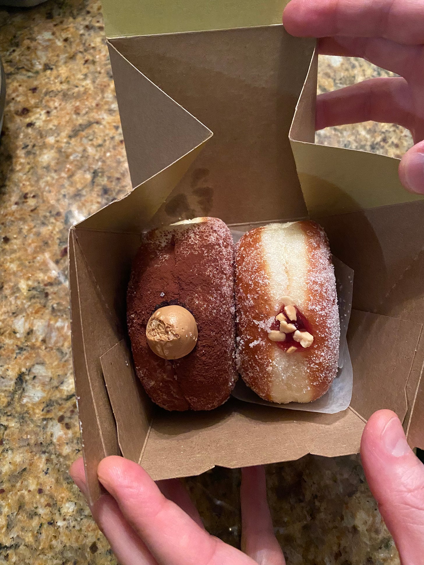 Jeff is holding open a small paper box with two donuts standing on their sides in it. The left is the tiramisu, dusted with cocoa powder and with a coffee-coloured dollop of cream at the top. Right is peanut butter and jelly, coated in sugar and with strawberry jam and a crumble of peanuts on the top.