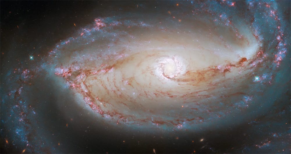 photo of a spiral galaxy with pink and red spiral arms of dust and stars circling the bright core