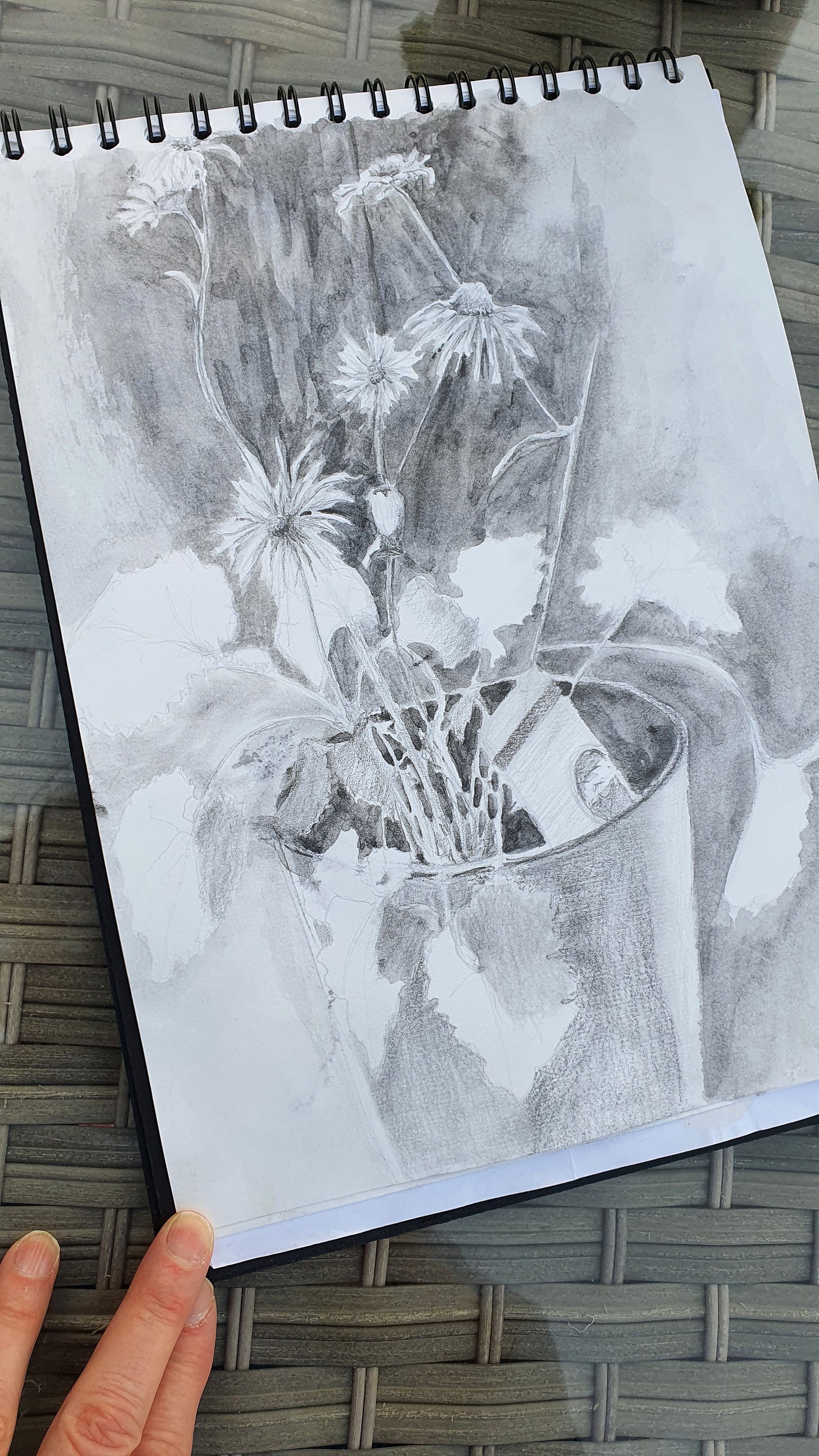 Daisies in a pot sketch in a sketchbook