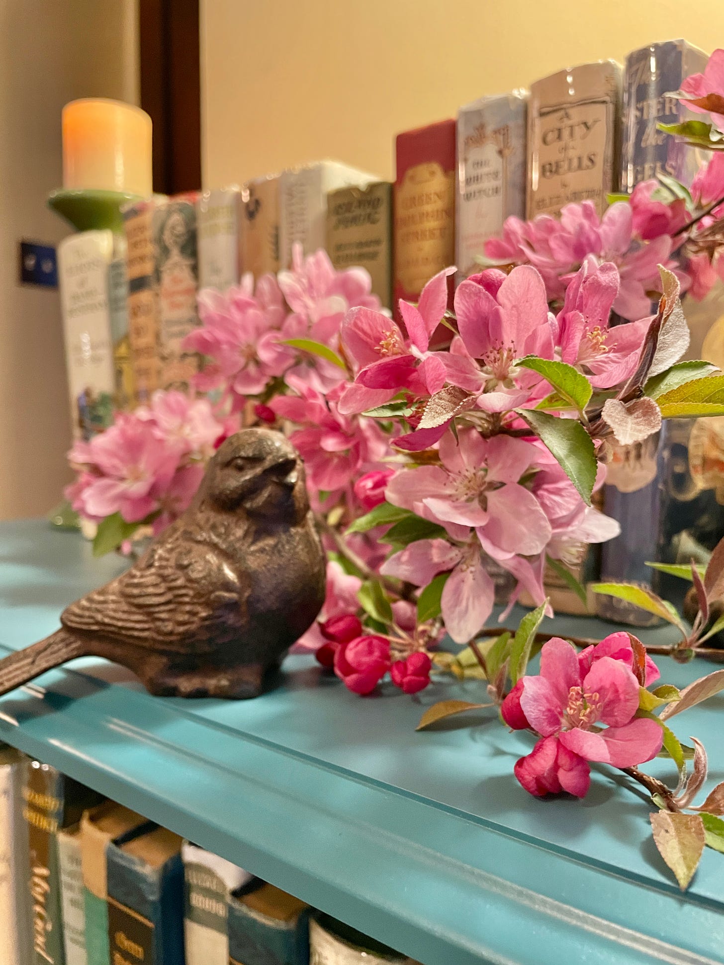 Blossoms, birds and books from my Goudge case for Elizabeth’s birthday today.
