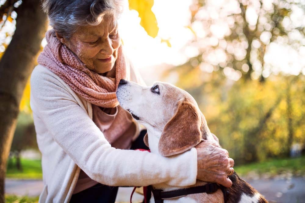 Elder woman and her dog looking into each others’ eyes while on a walk.