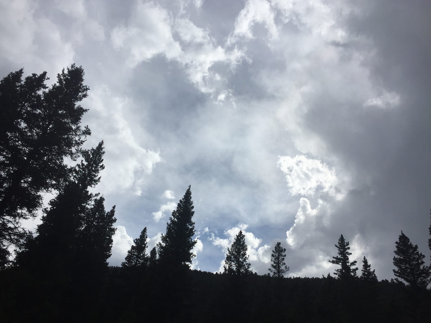 pine trees at the top of a mountain ridge with the sun and clouds behind them