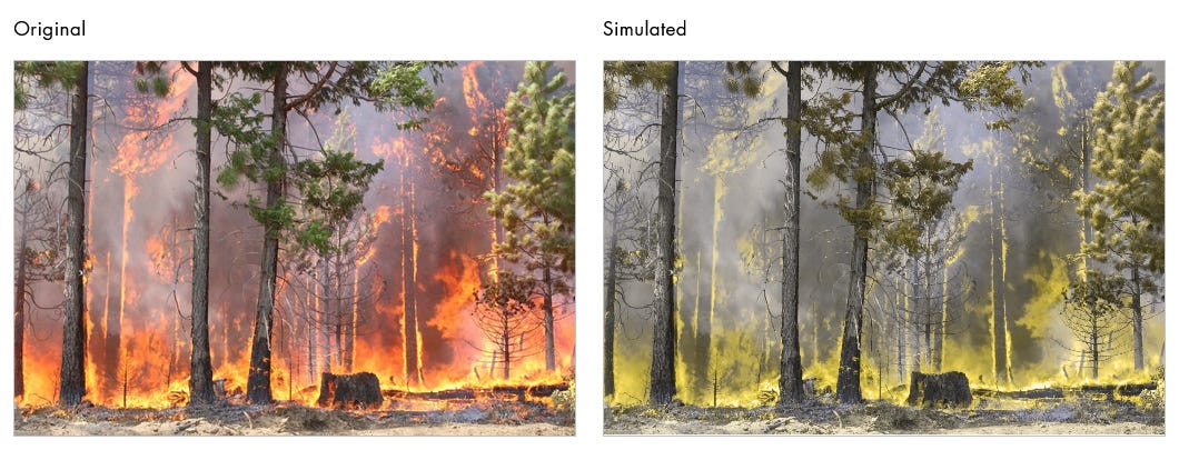 Forest fire through protanopia filter