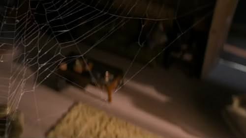 This image shows a spiderweb covering the corner of a room in Sheffield, England from above (meaning, from the ceiling's point of view). This image shows a spiderweb covering the corner of a room in Sheffield, England from above (meaning, from the ceiling's point of view).