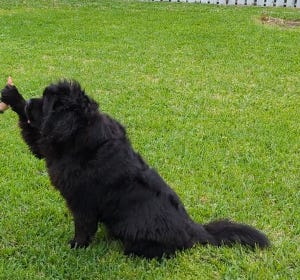 Crokell giving a high five.