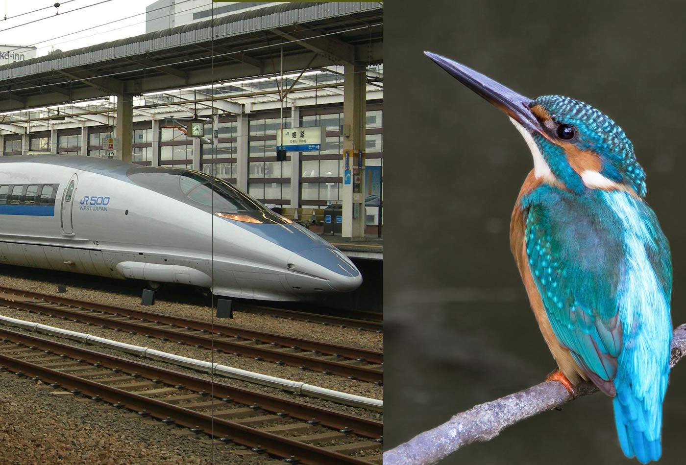 What happens when you combine a kingfisher and a bullet train? Innovation.  – O'Reilly