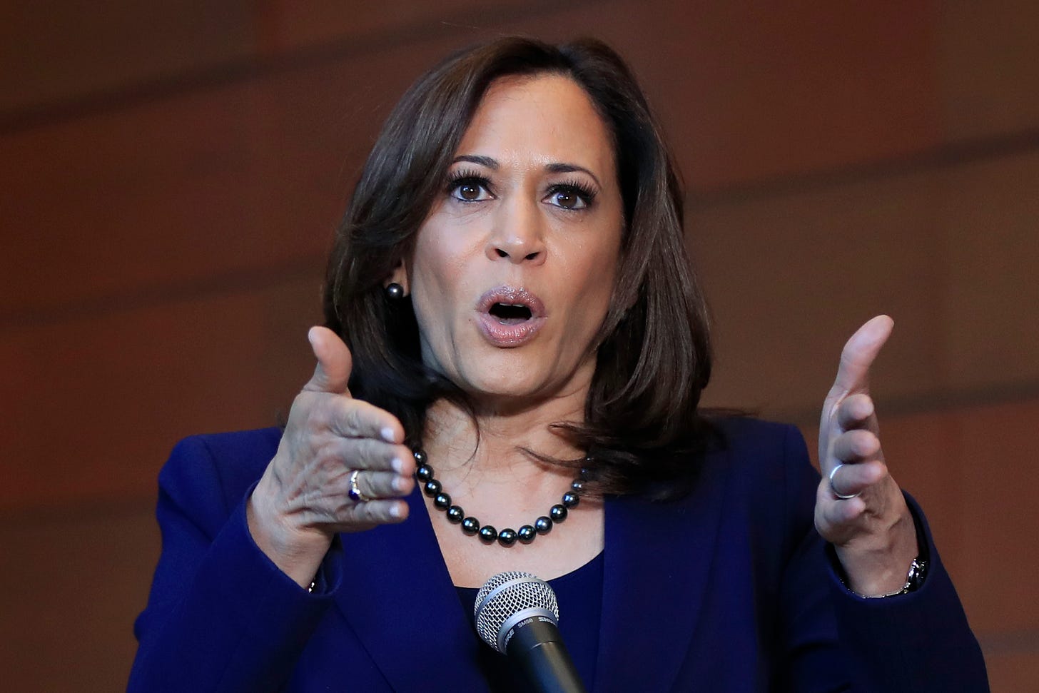 Kamala Harris opens presidential bid – Aruba Today