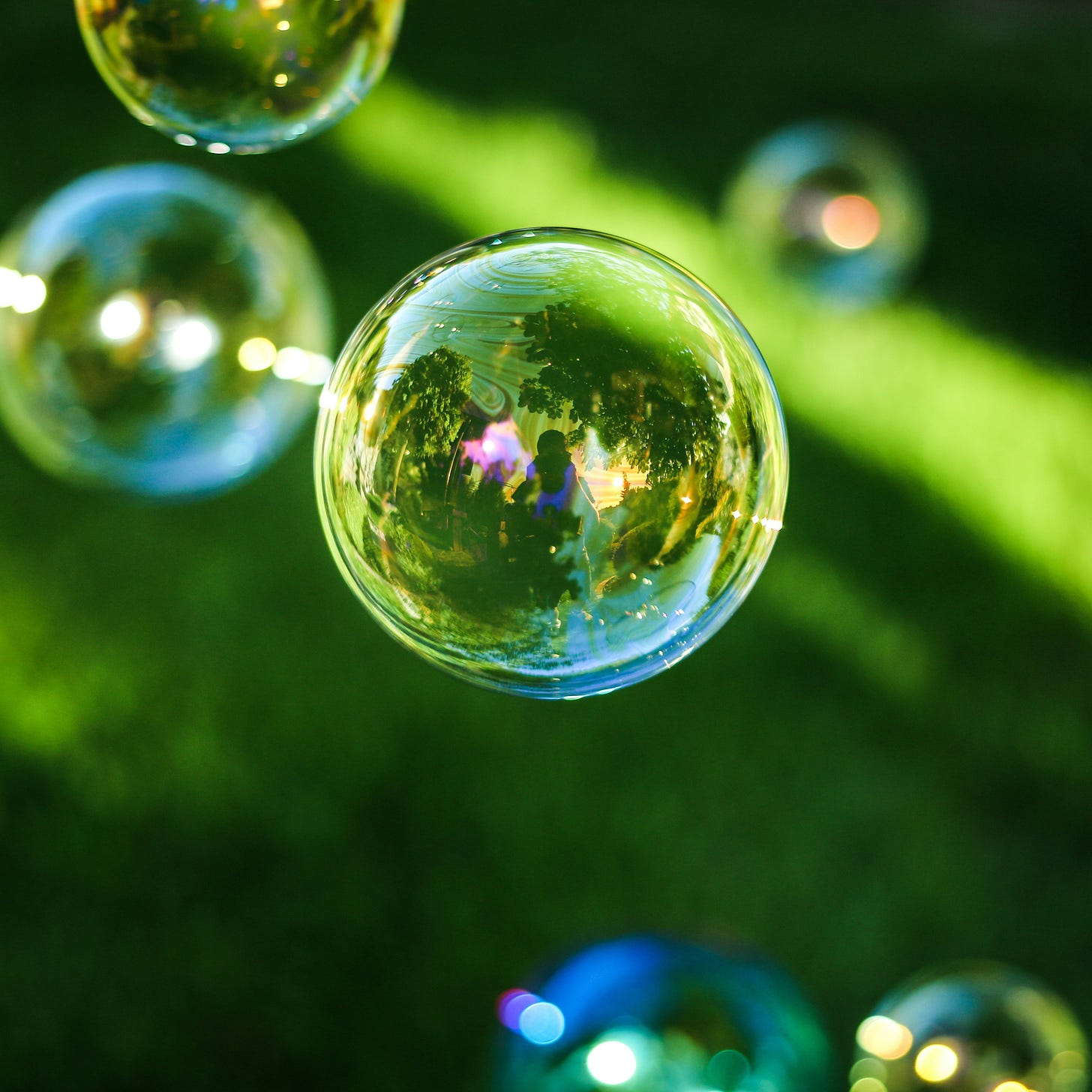bubbles floating over shady grass