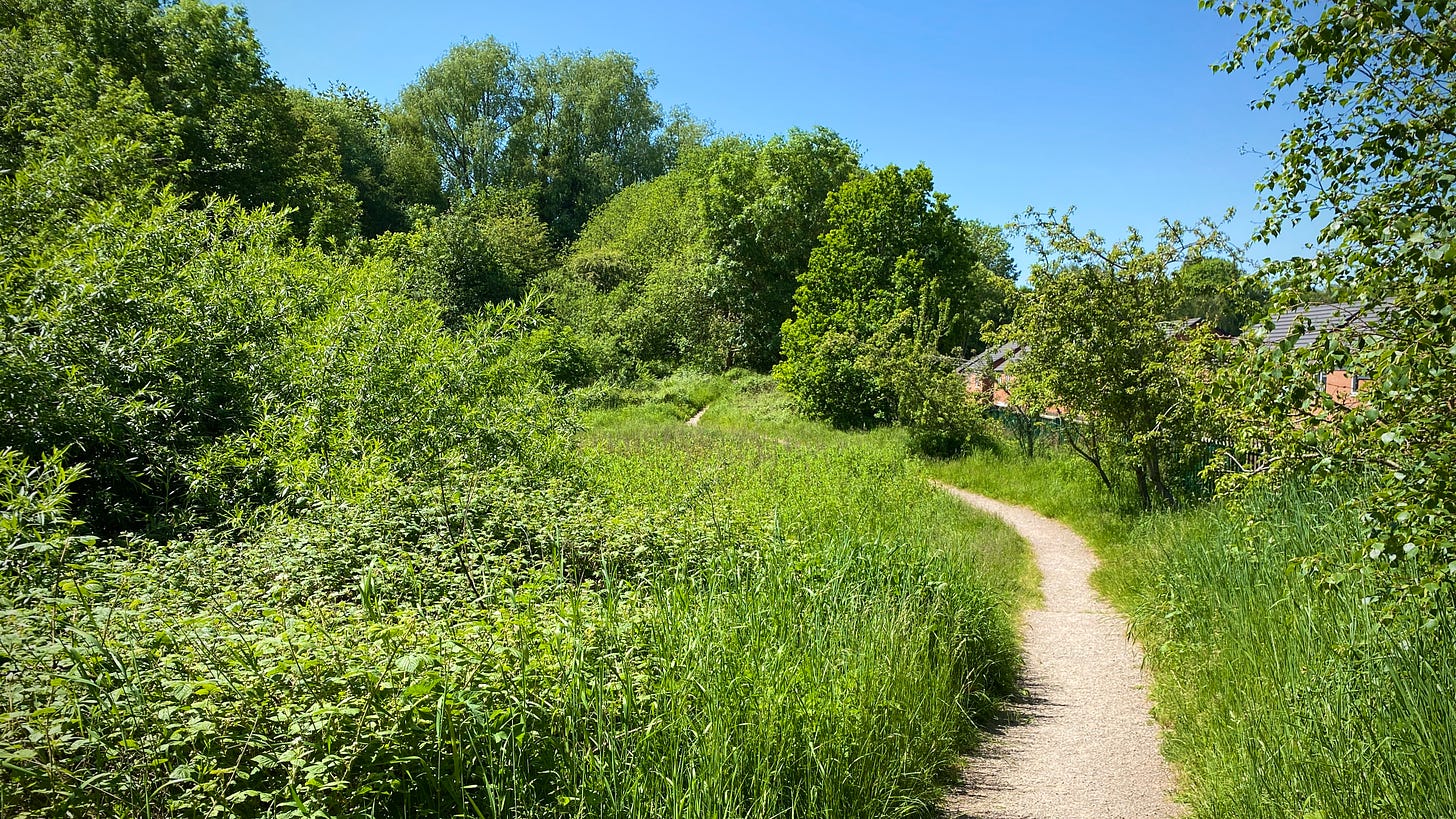 Hartshill Park, local nature reserve, path and bright green lush vegetation