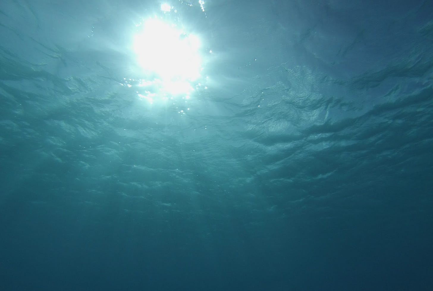 Perspective from underwater with sun shining above.