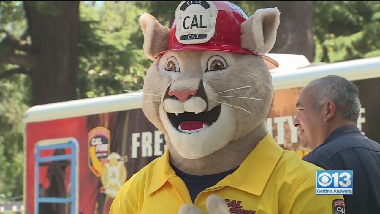 Cal Fire Unveils News Mascot 'Captain Cal' - YouTube