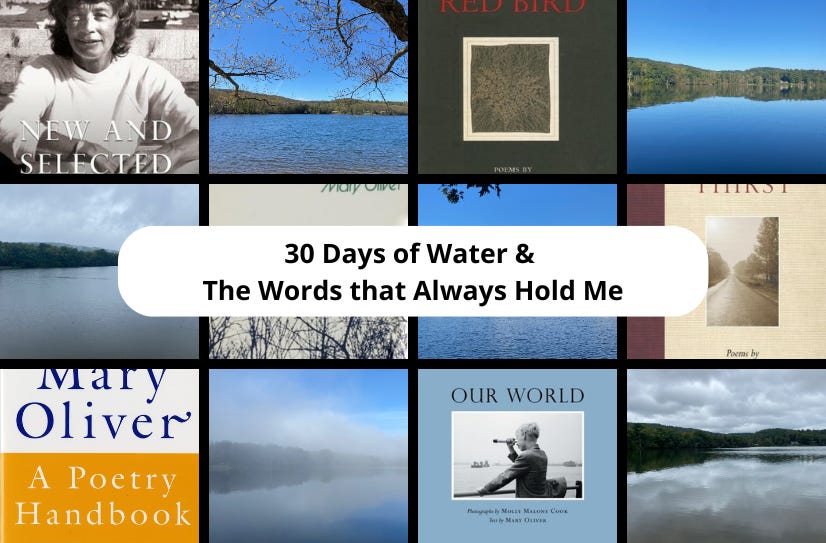 A gird of 12 small photos, alternating between the covers of Mary Oliver books and Ashfield Lake in different kinds of weather: clear and blue, rainy, cloudy, misty. ‘30 Days of Water & The Words that Always Hold Me’ appears in the center in a white text box.