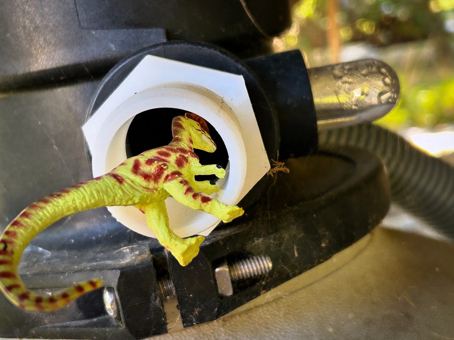 A green Dilophosaurus with brown spots venturing into a white discharge port on a pool filter.