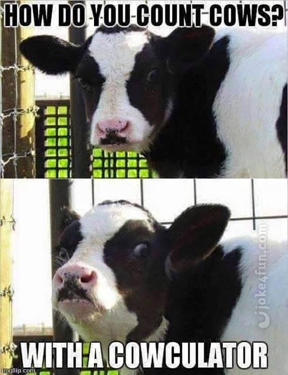 here's a cow

#Meme #DailyMemes #Cow #Animals