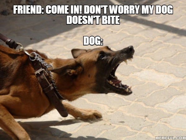My Dog Doesnt Bite Meme - Captions Energy