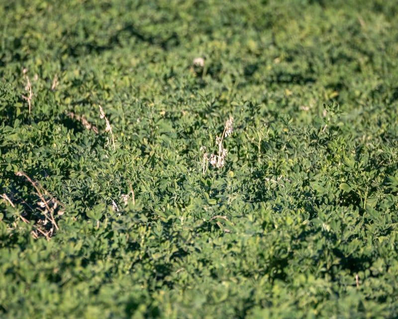 20250106-Marana-308-Edit.jpg