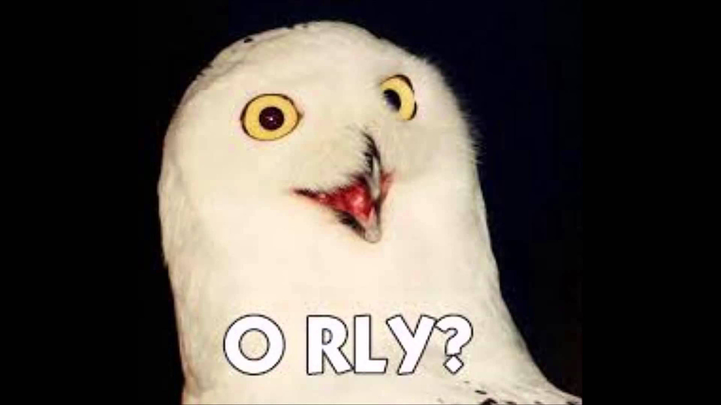 O RLY? | Know Your Meme