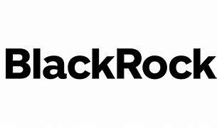 Nalezený obrázek pro blackrock logo