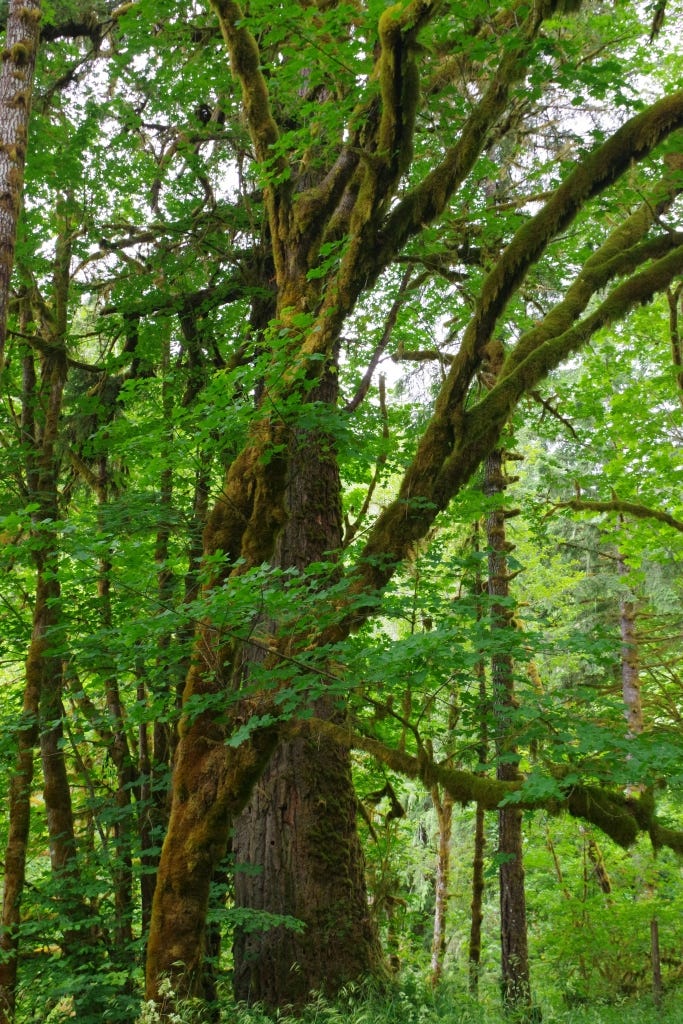 This image has an empty alt attribute; its file name is imgp0681.jpg This image has an empty alt attribute; its file name is imgp0681.jpg