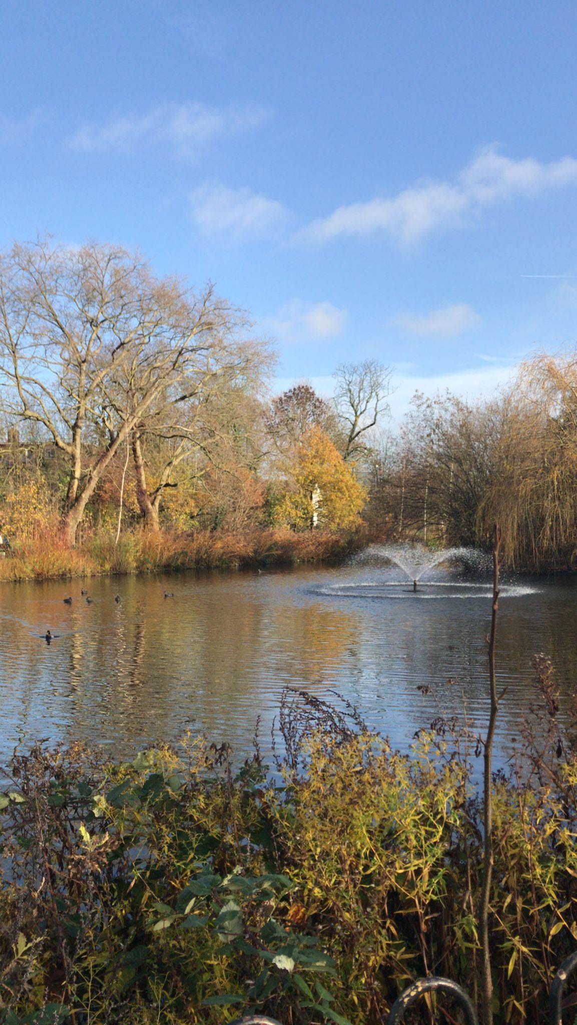 Image of a pond,with autumnal trees around, a fountain in the middle and blue skies
