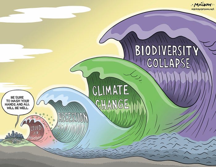 Cartoon of four waves: Biodiversity collapse (biggest), climate change, recession, Covid-19, then a man saying 'Just remember to wash your hands and all will be well.'
