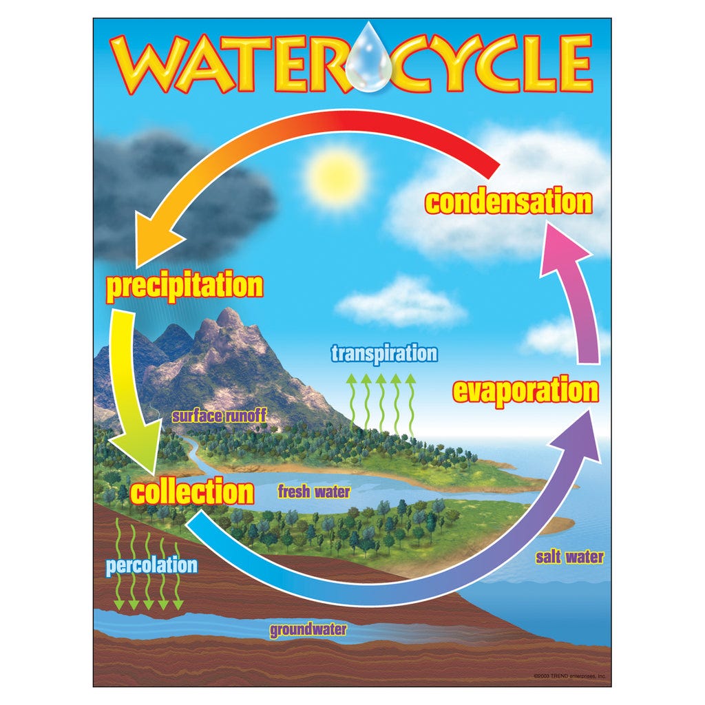 Trend Enterprises The Water Cycle Learning Chart