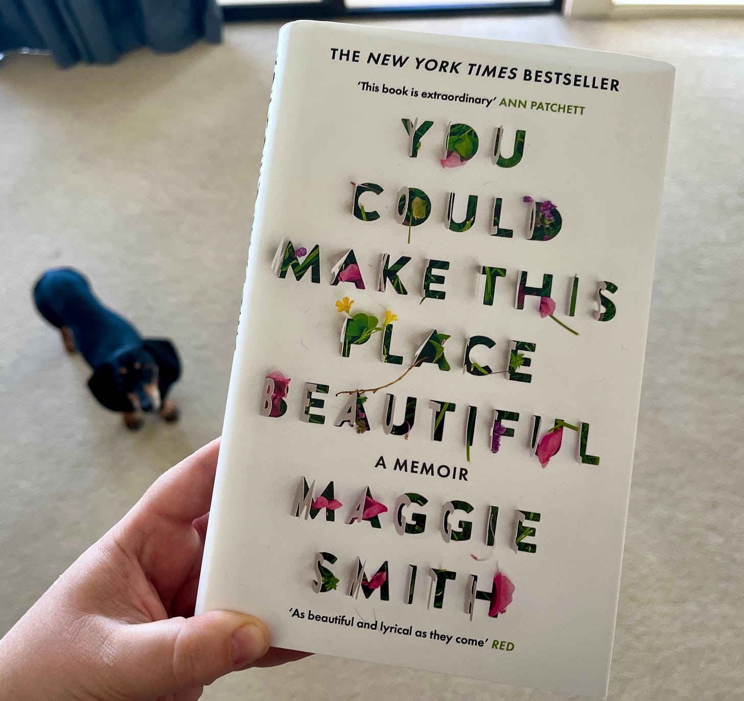 A hand holds Maggie Smith's book "You Could Make This Place Beautiful". In the background a little blurry black dachshund looks on.