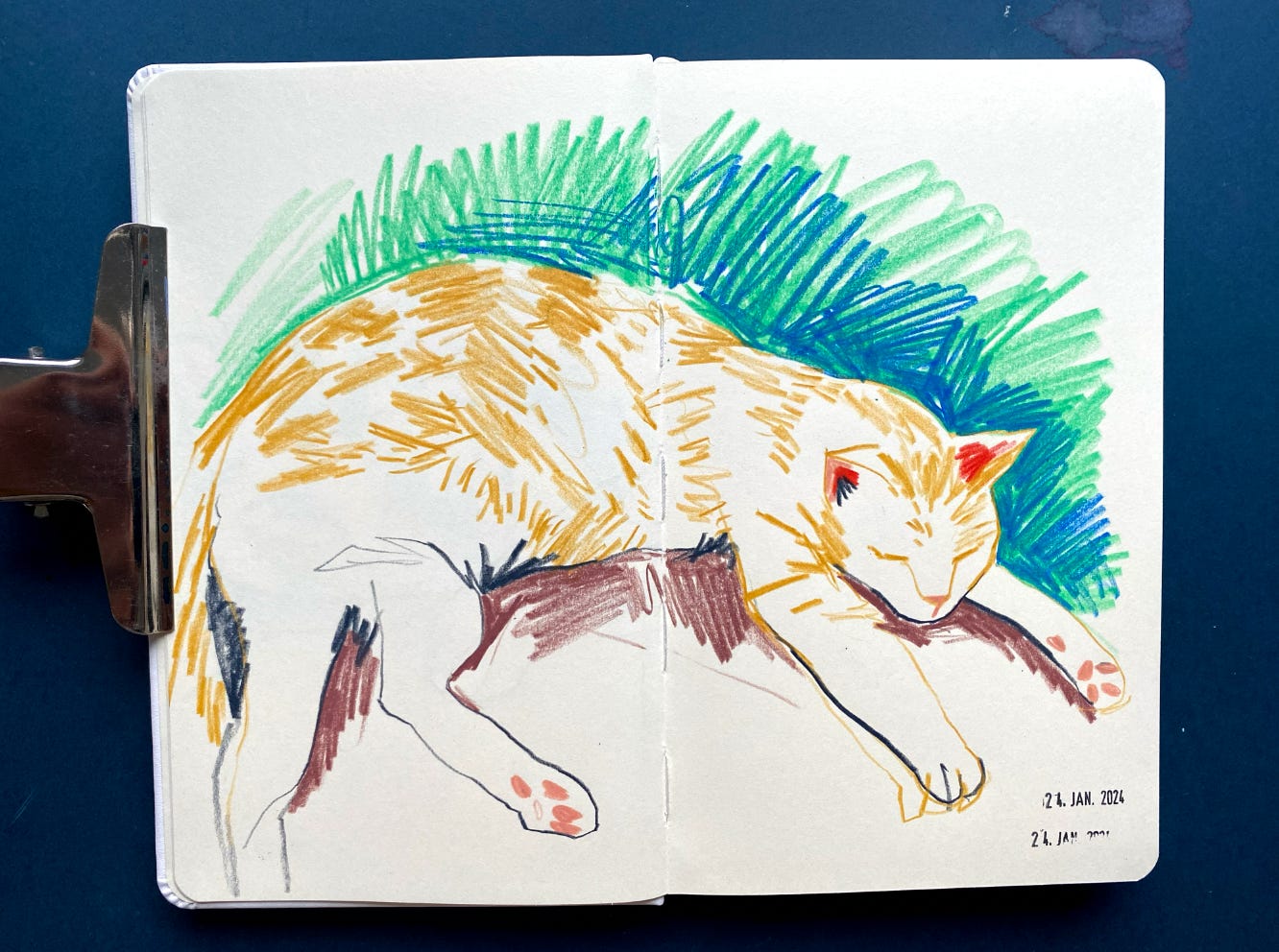 Colour pencil sketch of a cat in an open sketchbook against a blue background