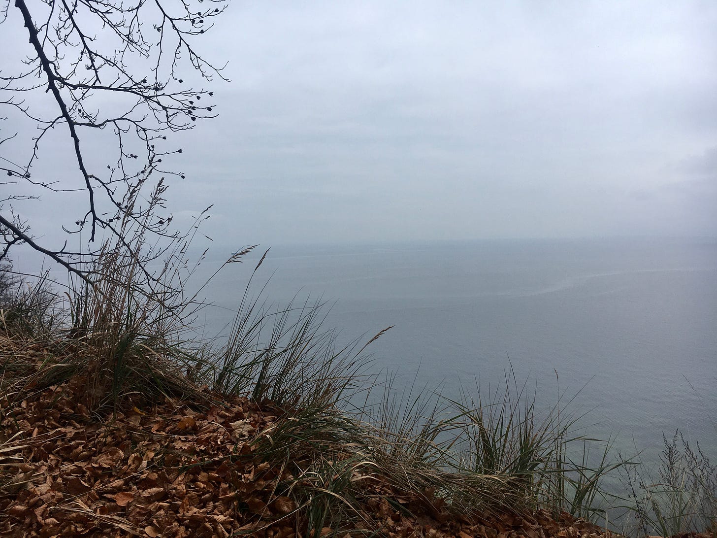 Die Kante einer Steilküste mit trockenem Laub und Gräsern, im Hintergrund die Ostsee, der Himmel eher bedeckt und trüb.