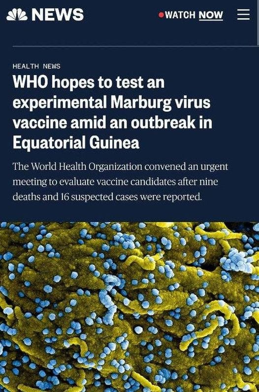 May be an image of text that says '9:22 nbcnews.com NEWS WATCH NOW HEALTH NEWS WHO hopes to test an experimental Marburg virus vaccine amid an outbreak in Equatorial Guinea The World Health Organization convened an urgent meeting 0 evaluate vaccine candidates after nine deaths and 16suspected cases were reported. Marburg virus particles (blue) both budding and attached the surface infected cells (yellow). Image Point FR NIH/NIAID/BSIP/Universal Images Group via Getty Images'