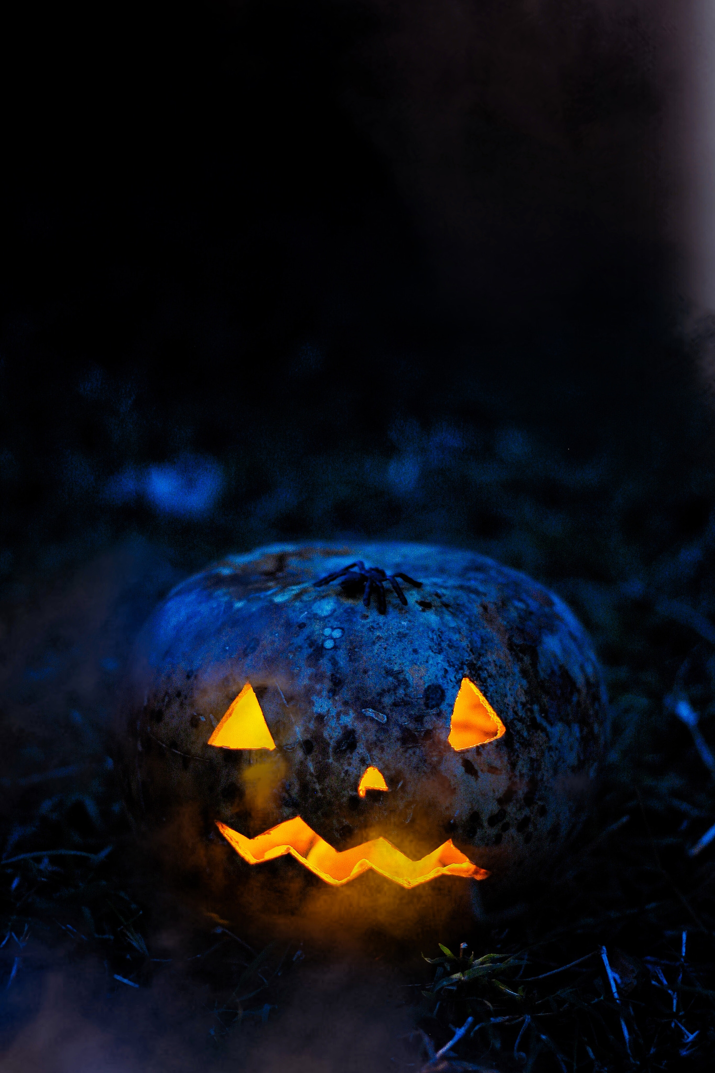 Dimly lit outdoor picture of a jack-o-lantern with a crooked smile, and a big spider on top.