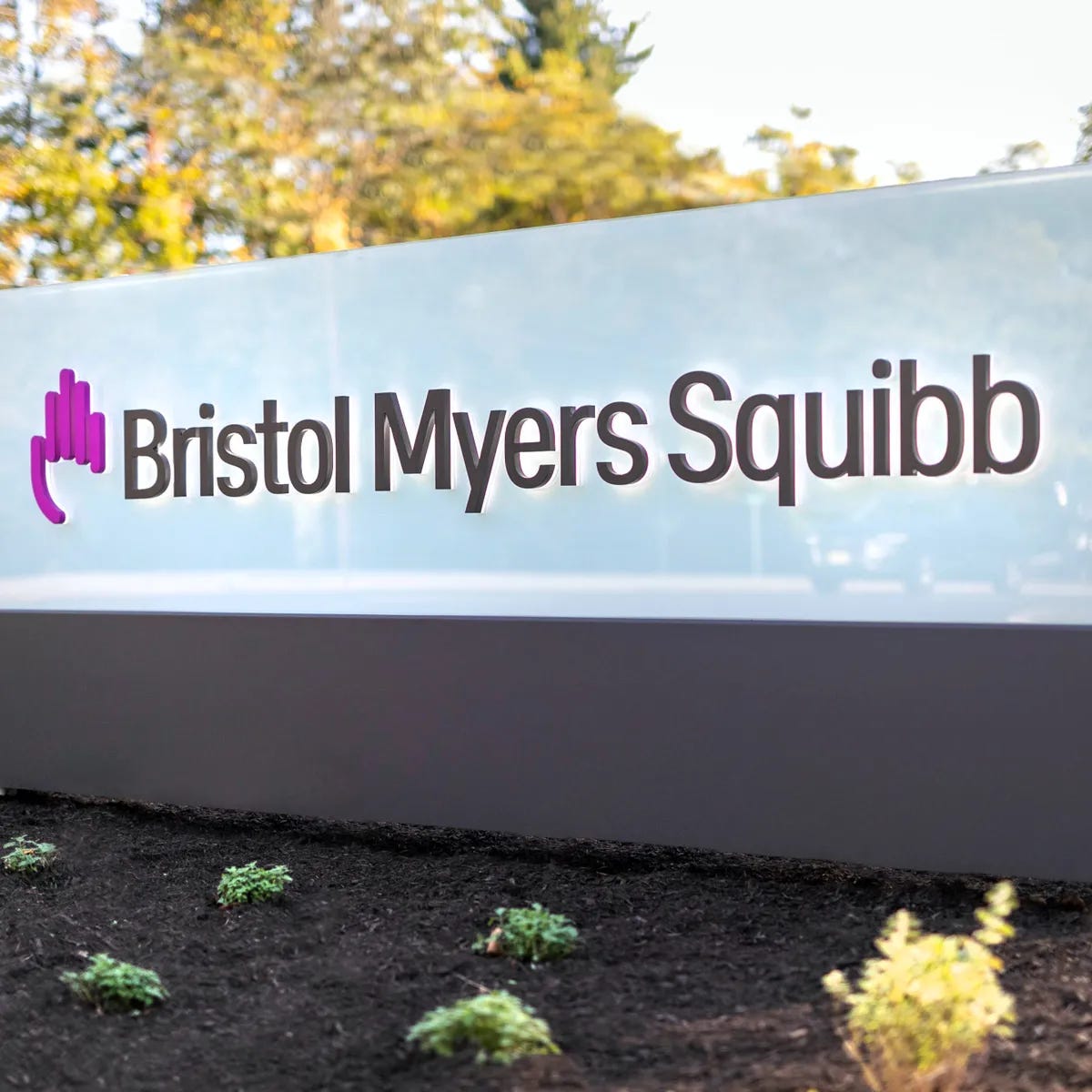 Bristol Myers to cut 6% of workforce, trim drug pipeline