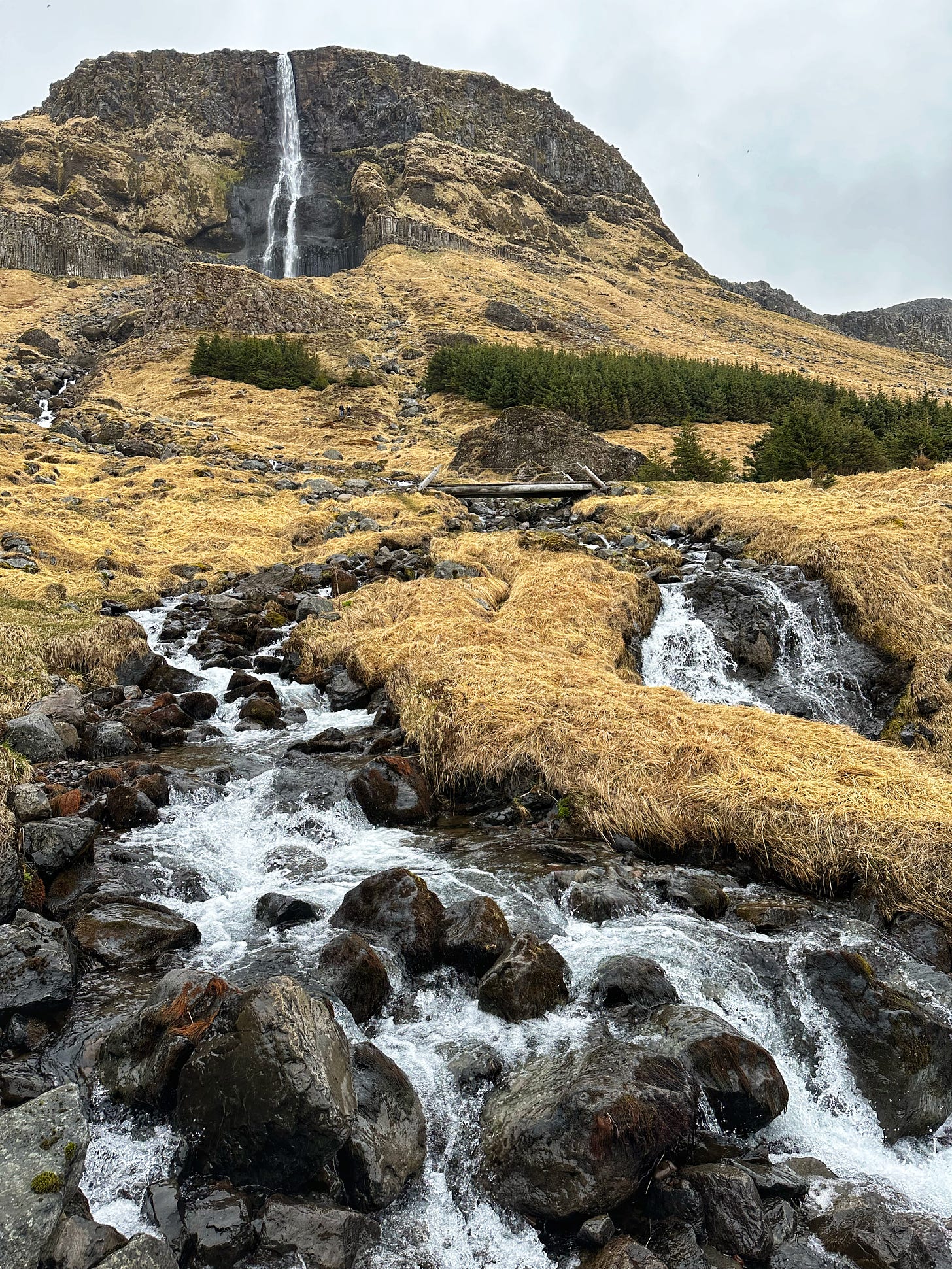 Bjarnafoss a multi layered waterfall cascading down from a rocky cliff and over golden brown moss covered rocks.  There are evergreen trees in the midground and the sky is filled with light gray clouds.