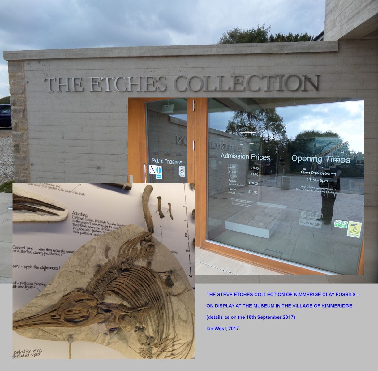 The Steve Etches Museum, Kimmeridge, Dorset, with many remains of Ichthyosaurs and other fossil, collected by Steve Etches from the Kimmeridge Clay Formation