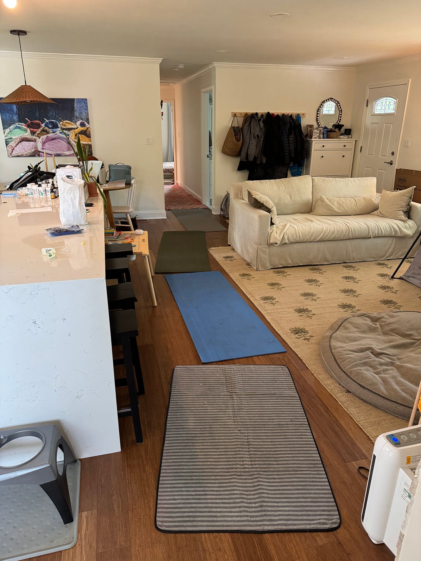 a look at the yoga mats we set up on the wood floor for Otis