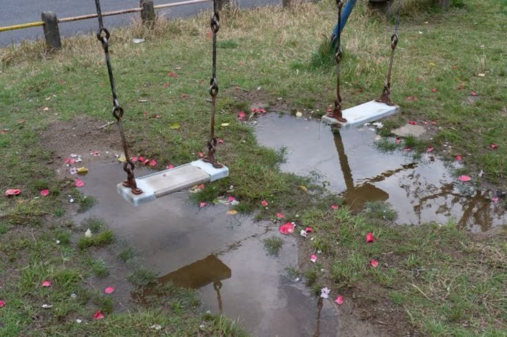 This may contain: two swings in the middle of a field with water puddles and flowers on them